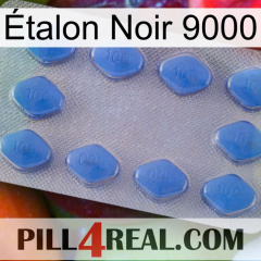 Étalon Noir 9000 21